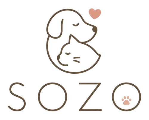 Sozo